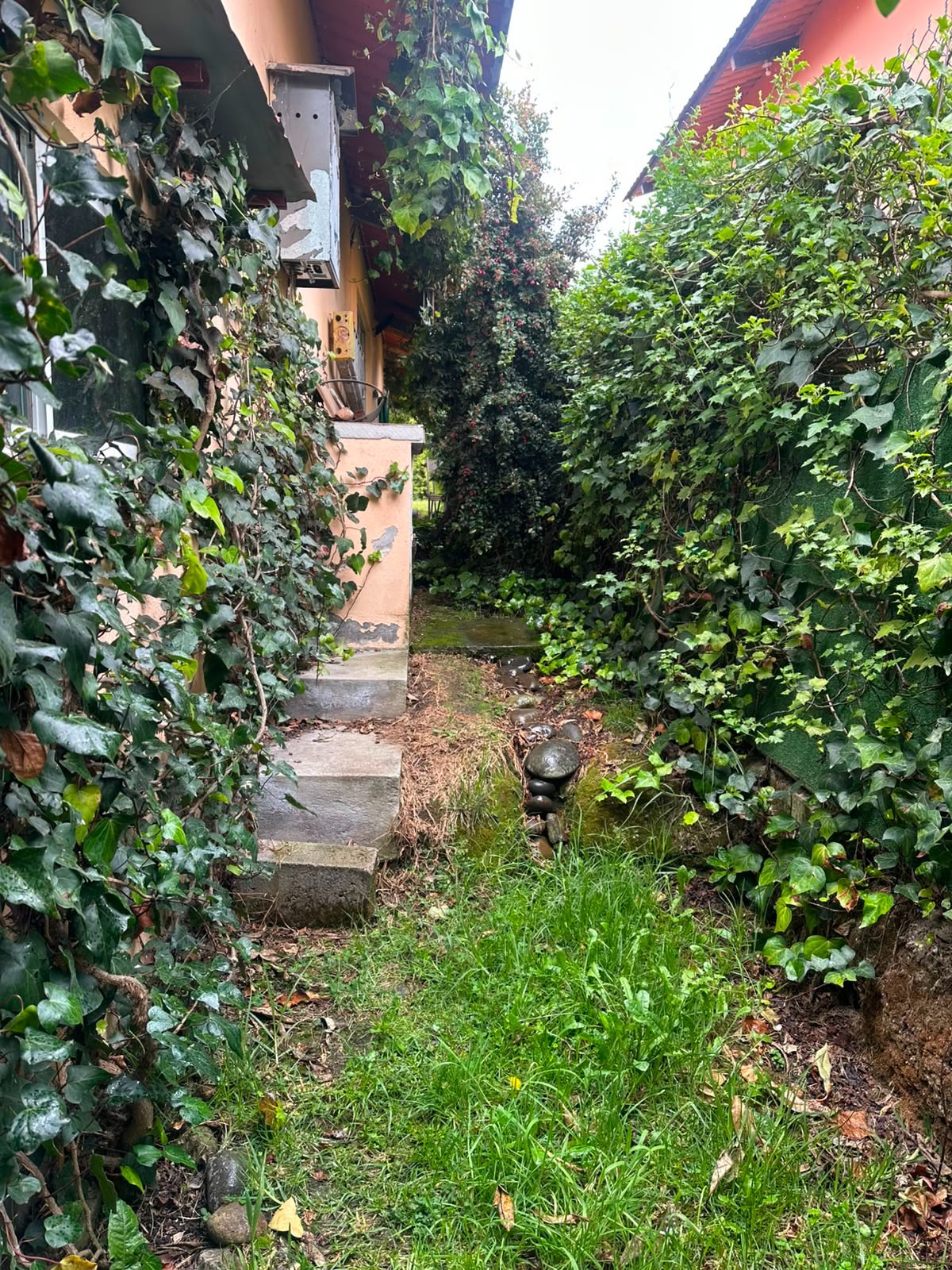 Áreas Verdes — imagen 1